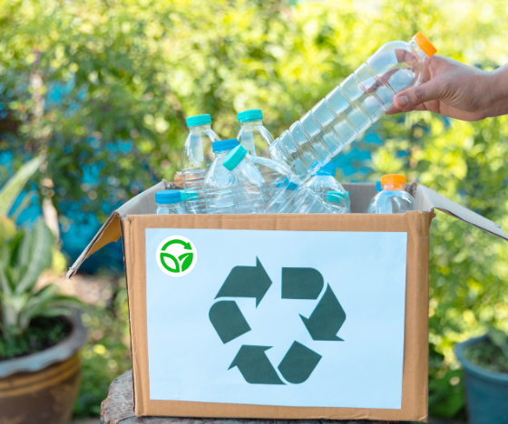 untitled design (18)